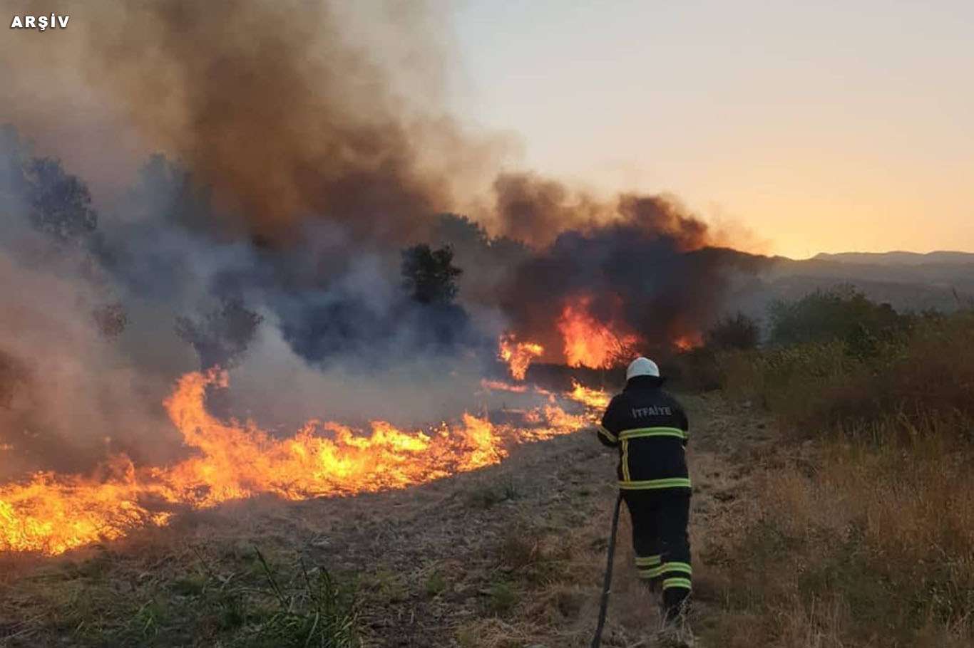 Manisa'da orman yangını