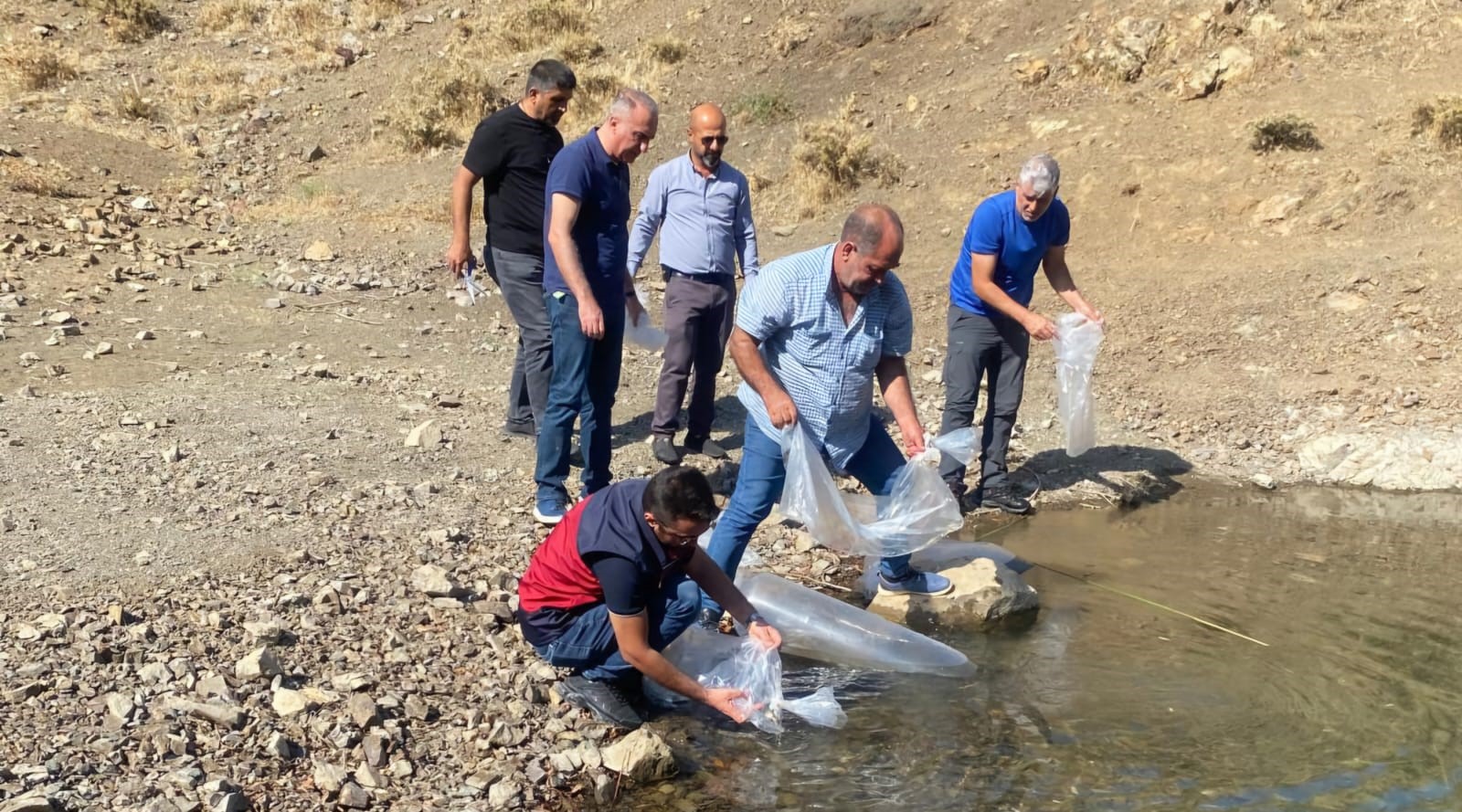 Tunceli’de doğal göle, 80 bin pullu yavru sazan bırakıldı