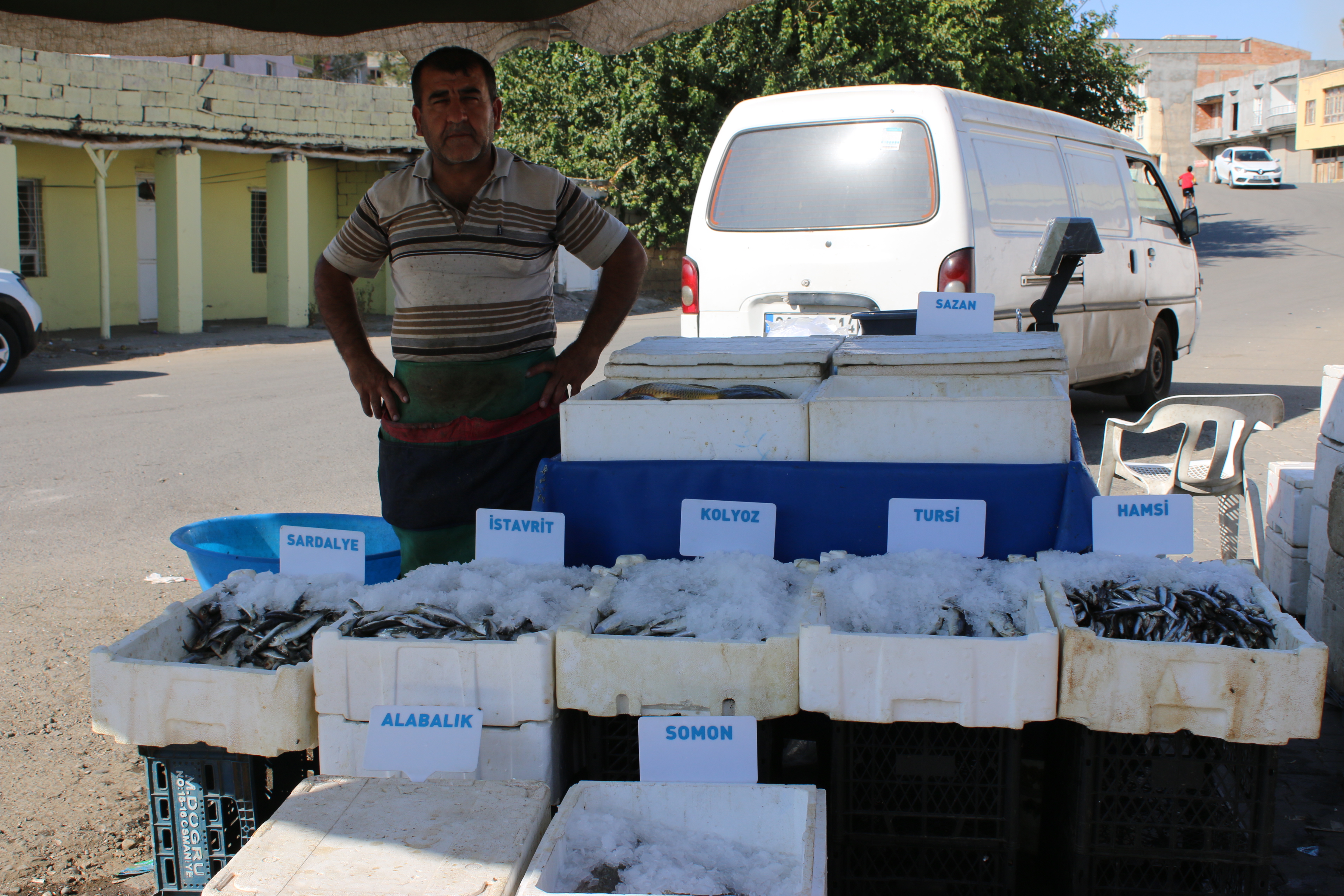 Balık sezonu açıldı, Diyarbakır'da balıklar tezgahta yerini aldı