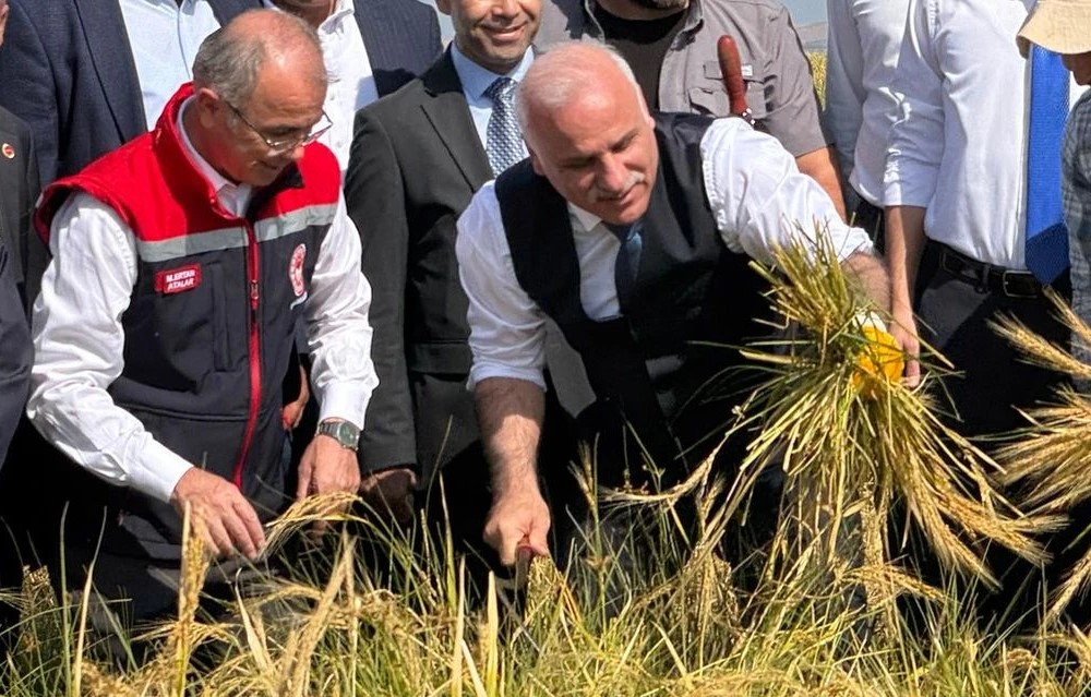 Karacadağ'ın eteklerinde tescilli hasat