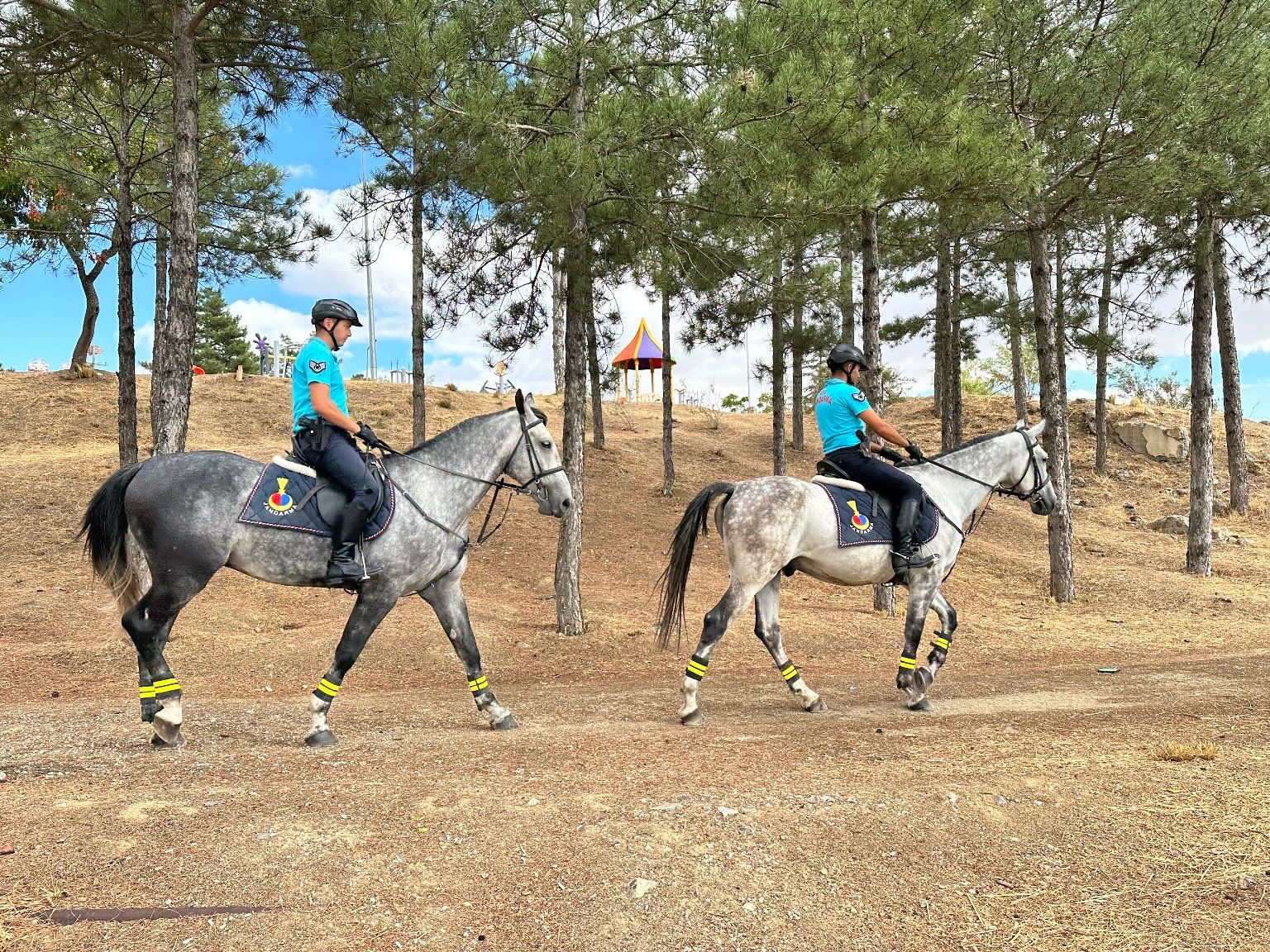 Elazığ’da atlı birlikler görev başında