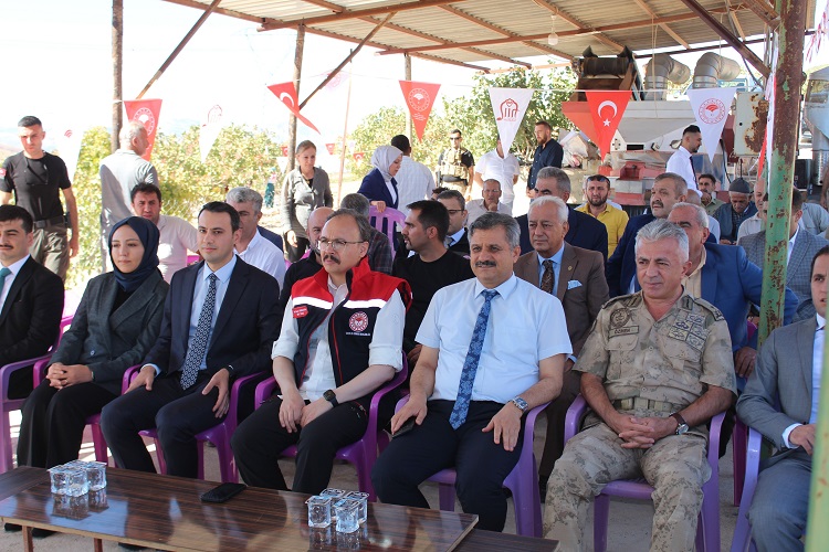 Siirt'te ‘Fıstık Festivali' kapsamında fıstık hasadı yapıldı