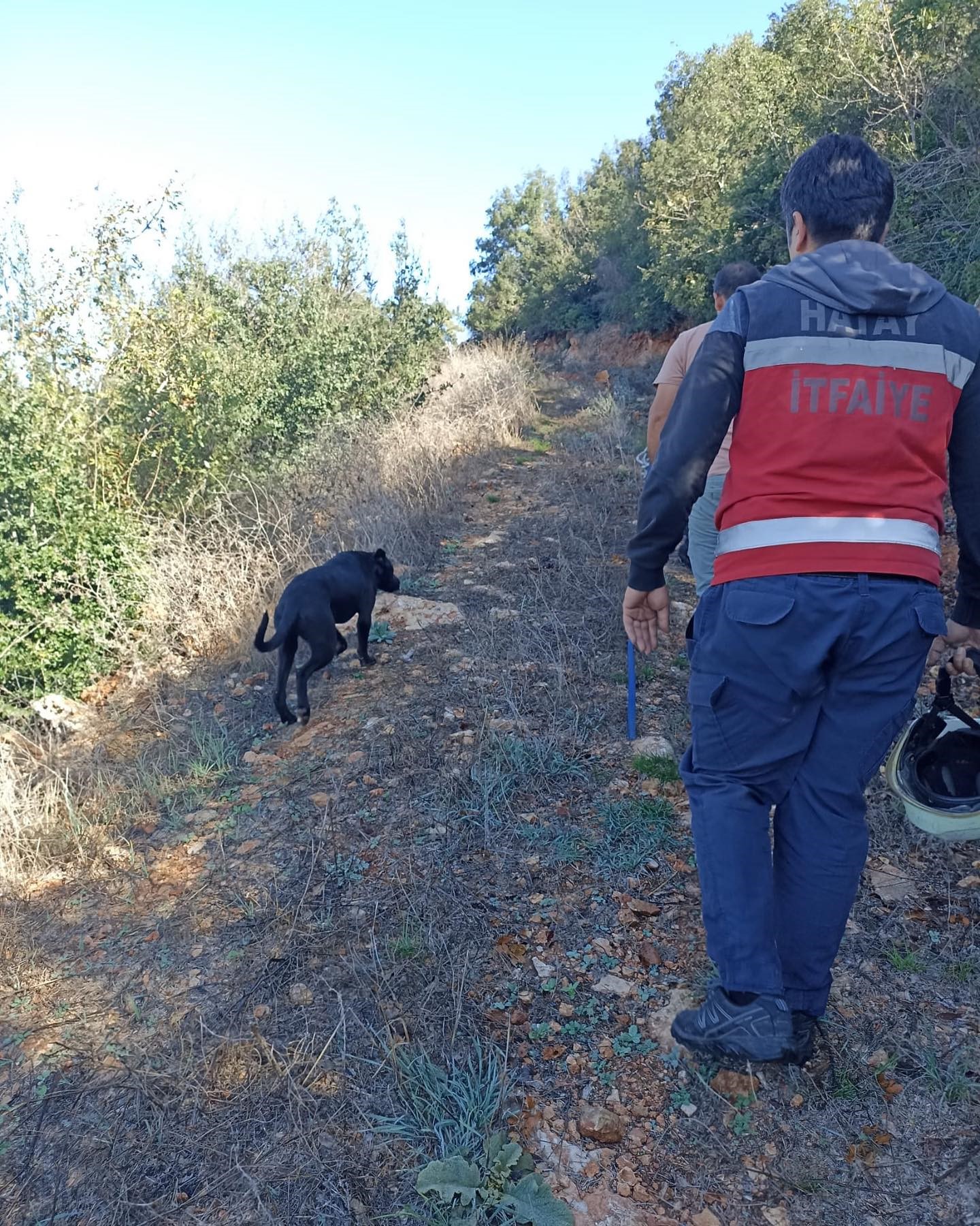 Kuyuya düşen köpeği itfaiye kurtardı