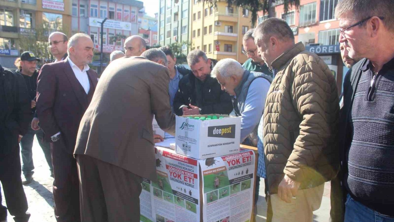 Kahverengi Kokarcayla mücadele sürüyor