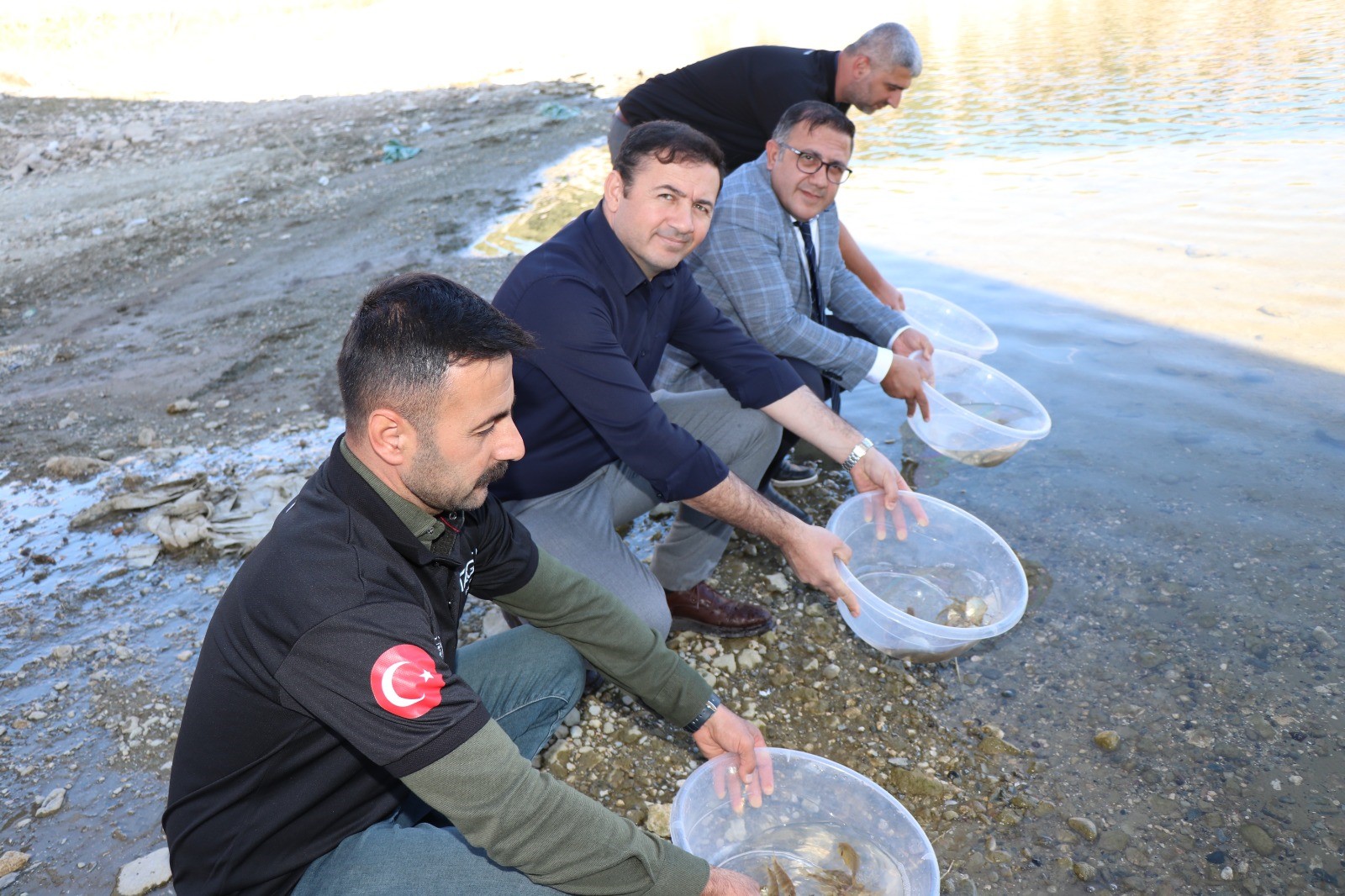 100 Bin sazan yavrusu baraja salındı