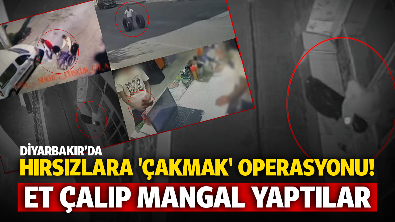 Diyarbakır'da hırsızlara 'Çakmak' operasyonu! Eti çalıp mangal yaptılar