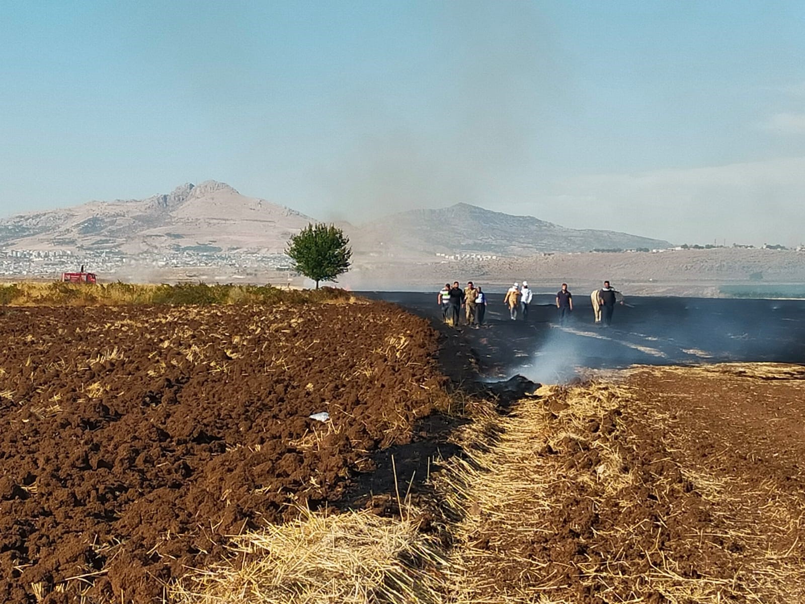 Diyarbakır’da Itfaiye Ekiplerince Söndürülen Anız Yangınında Bir Kişi Dumandan Etkilendi (1)