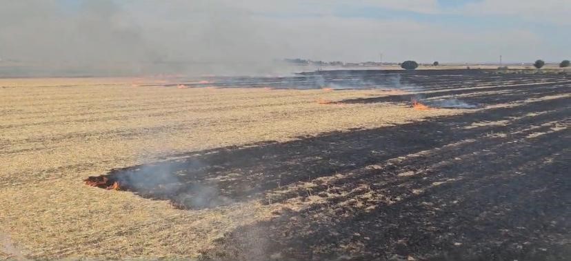 Diyarbakır’da Itfaiye Ekiplerince Söndürülen Anız Yangınında Bir Kişi Dumandan Etkilendi (3)