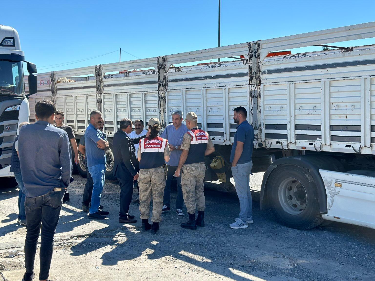 Diyarbakır'da kaçak hayvan taşımacılığına geçit yok