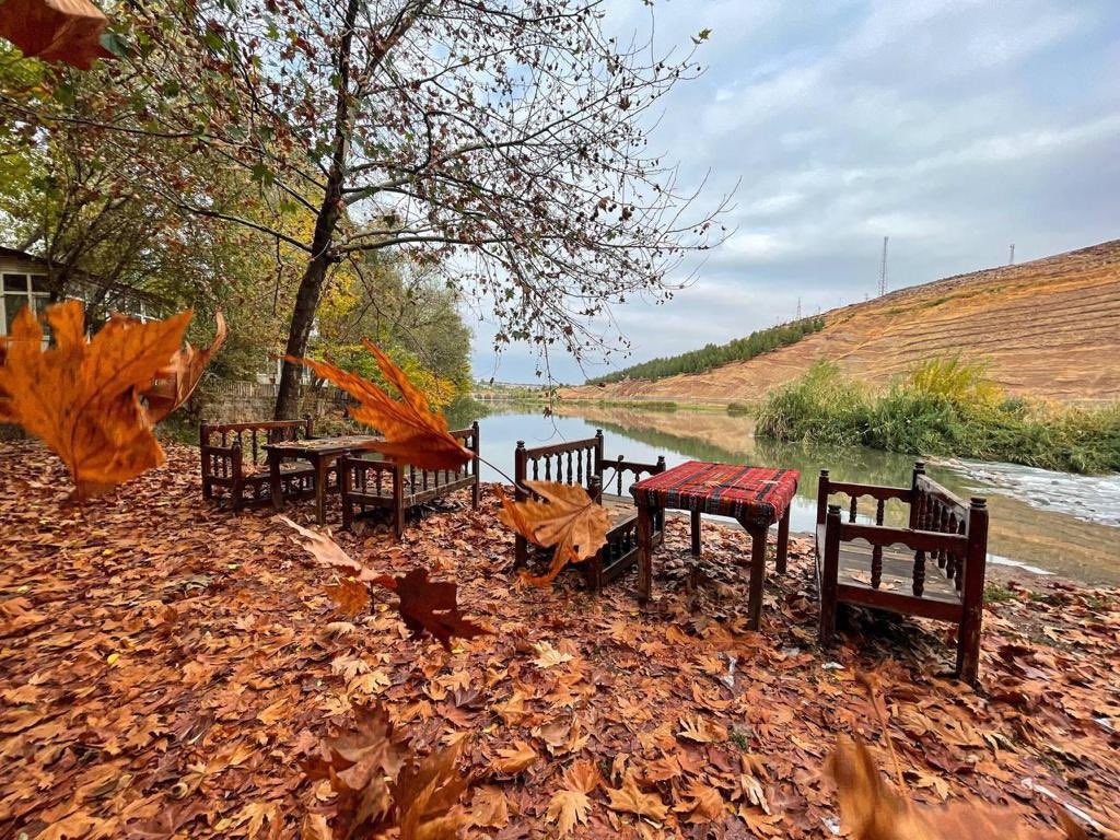 Diyarbakır'da Sonbahar Renkleri