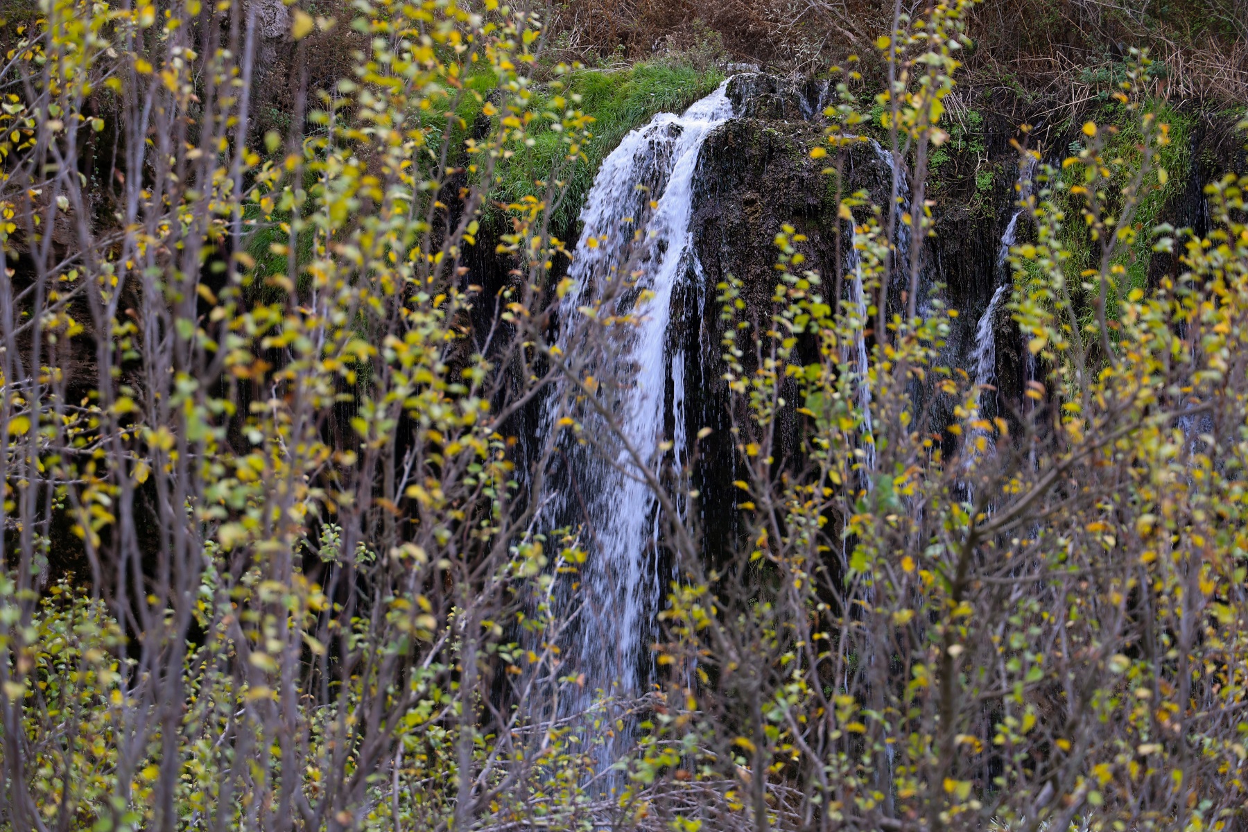 Saklıcennet (1)