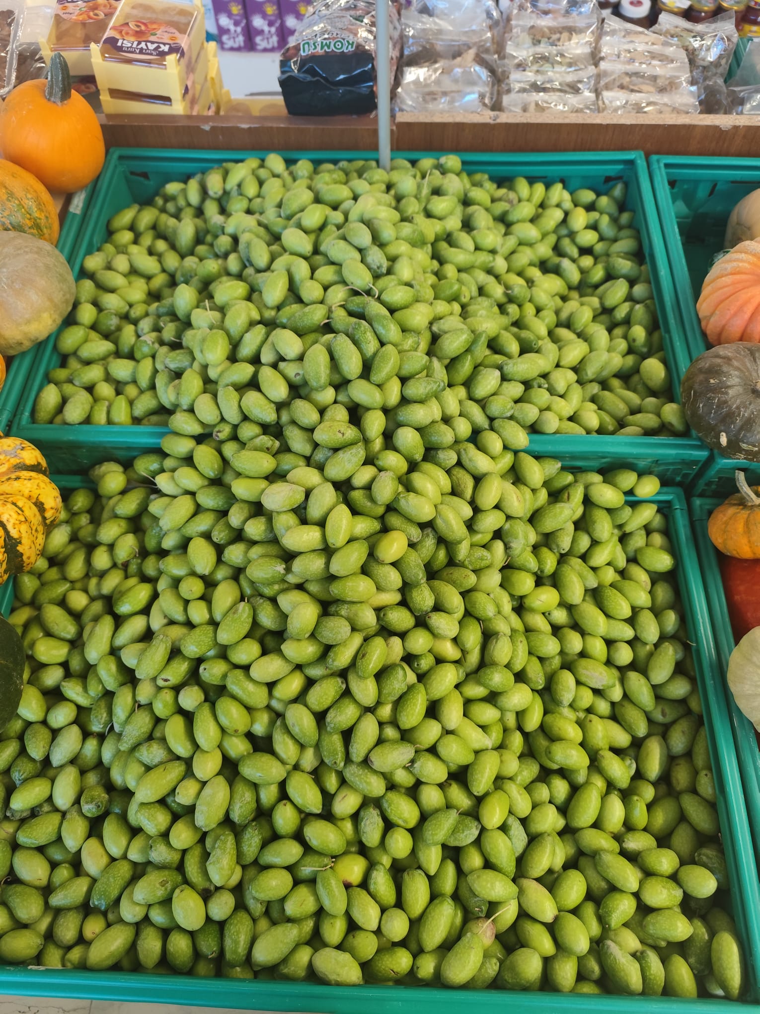 Diyarbakır’da Yeşil Zeytin Sezonu Başladı