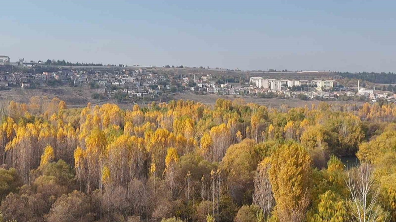 8 bin yıllık  UNESCO mirasından renk cümbüşü