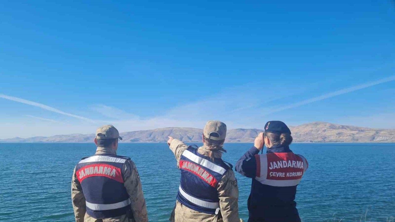 Elazığ’da cyangınını jandarma ekipleri söndürdü