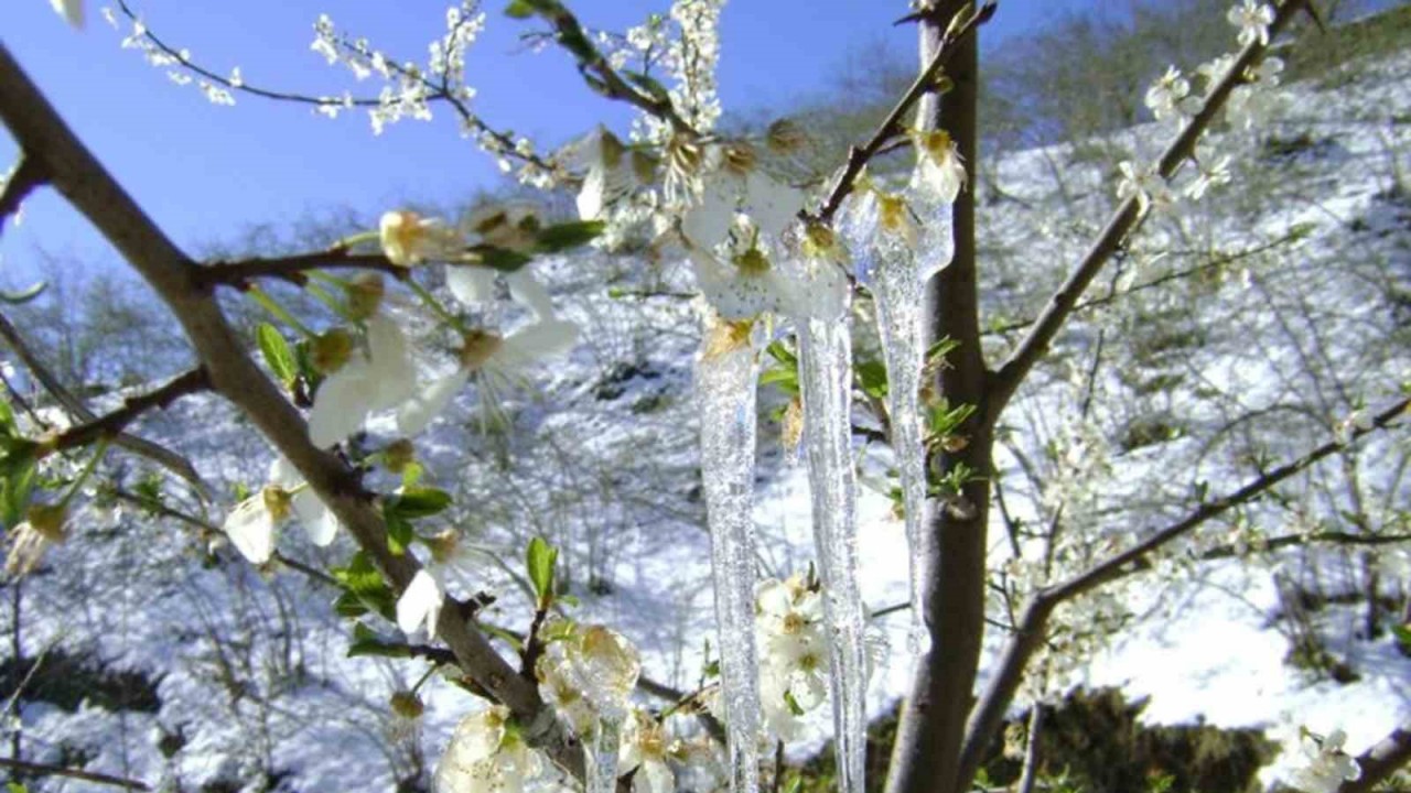 Muğla’ya yağmur sonrası soğuk hava uyarısı