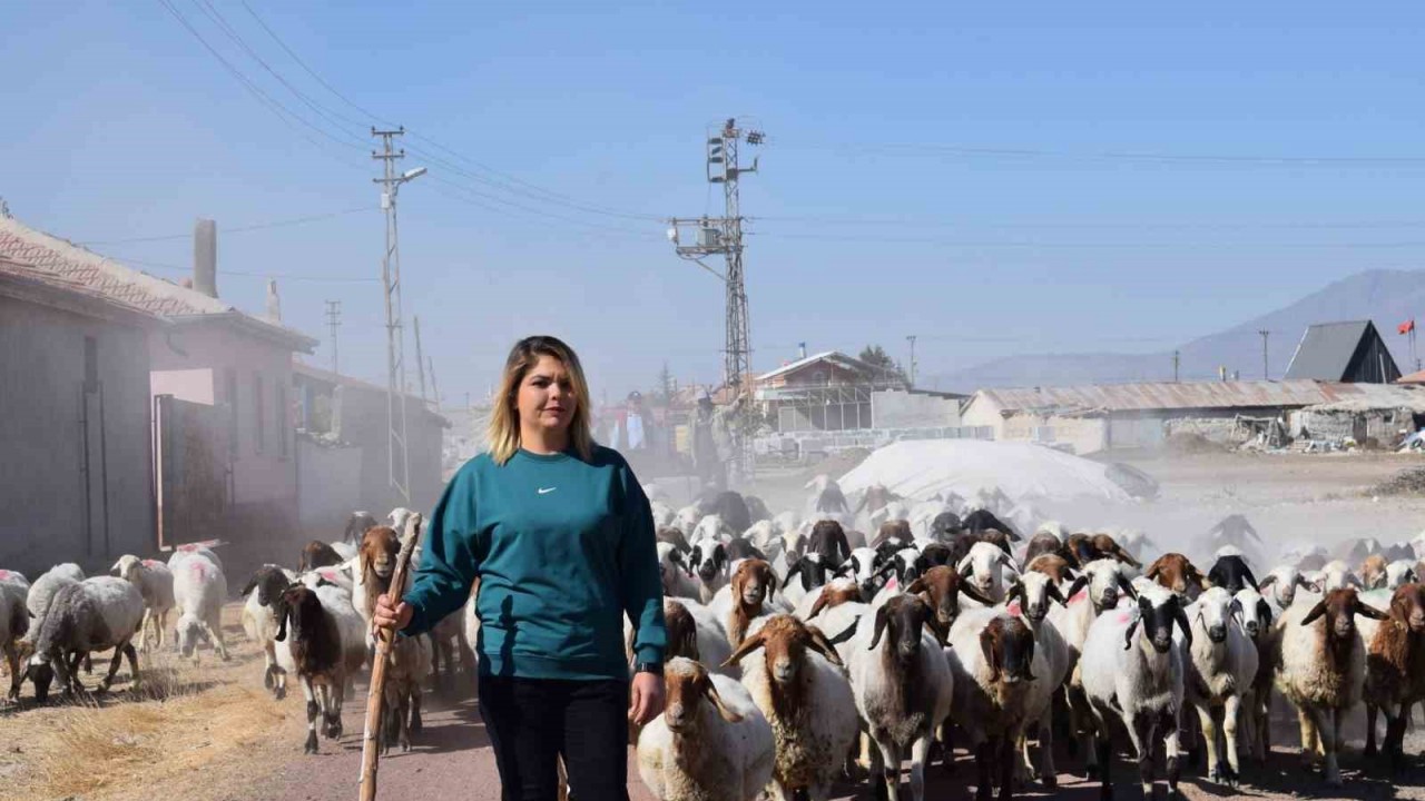 Üniversiteli anne hem koyunlarına hem de kendi kuzusuna bakıyor