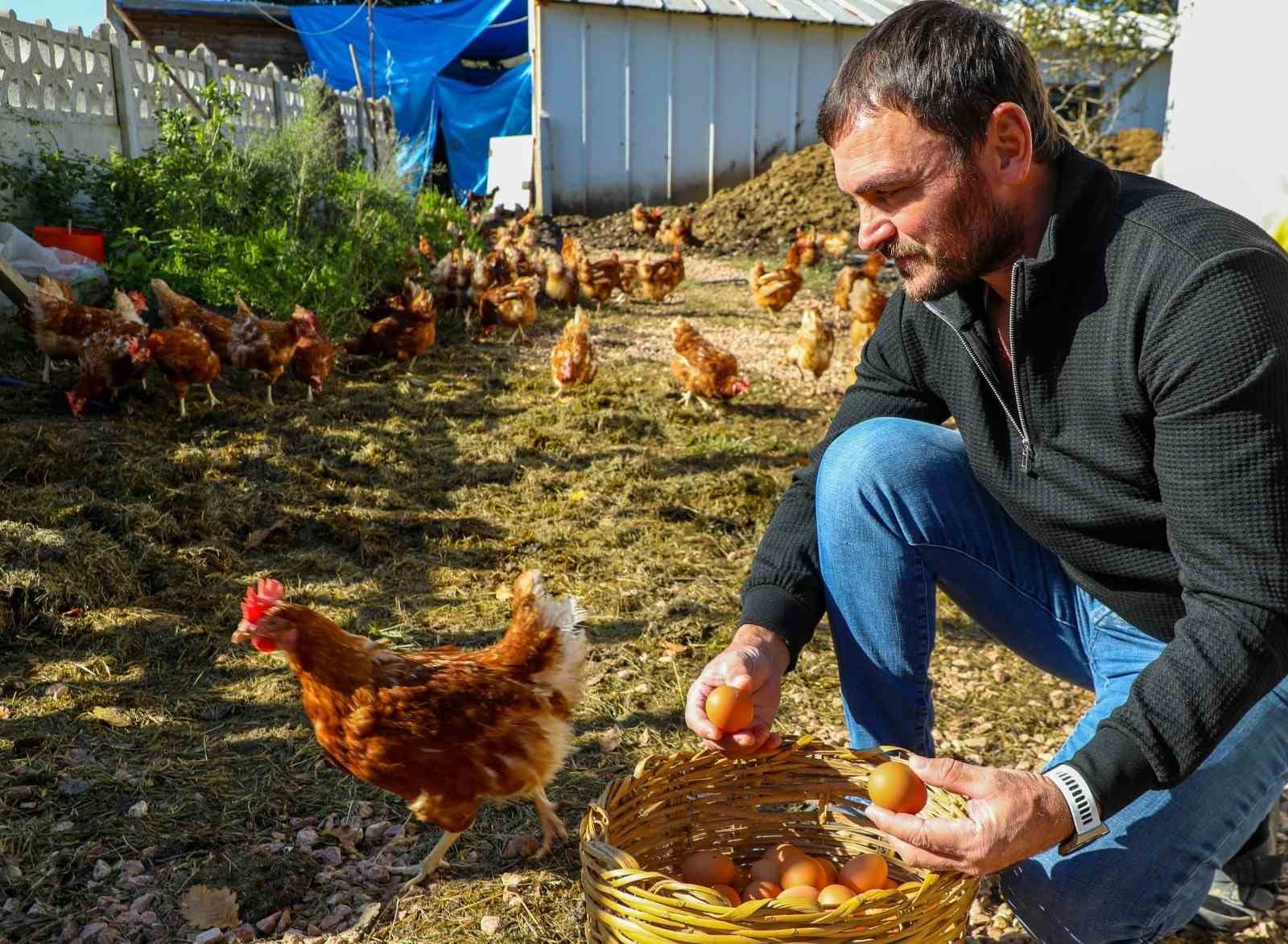 Diyarbakır’da Yüzde Yüz Zam Geldi! Tane Ile Satış Başladı (3)