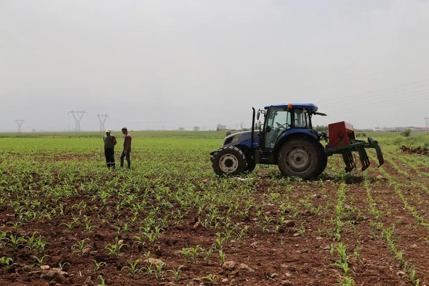 Kırsal kalkınma destekleri projelerin tamamlanma süresi uzatıldı