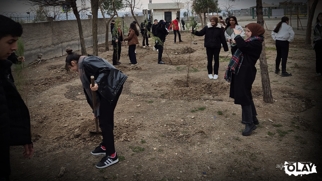 Diyarbakır'da Bu Öğrenciler'den Örnek Davranış (7)