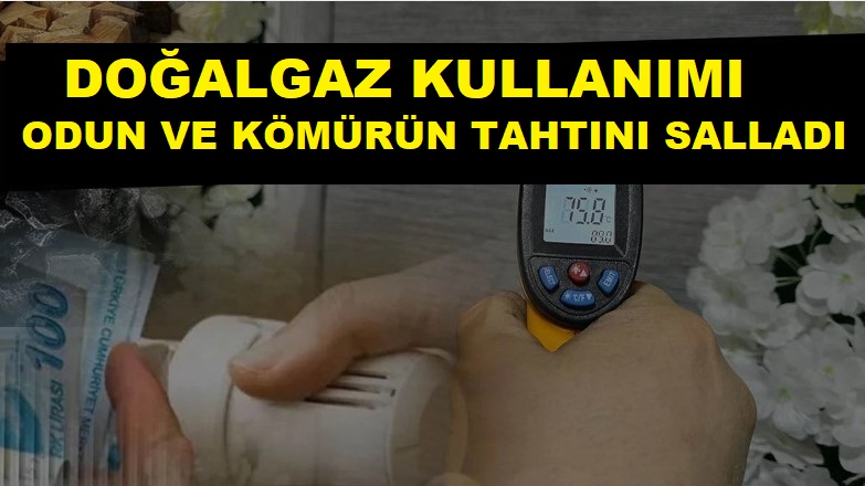 Diyarbakır’da Doğalgaz kullanımı kömürü vurdu!