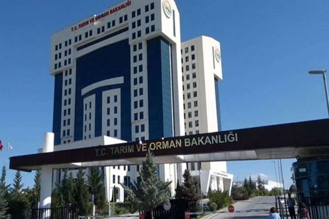 Ormancılara eğitim desteği