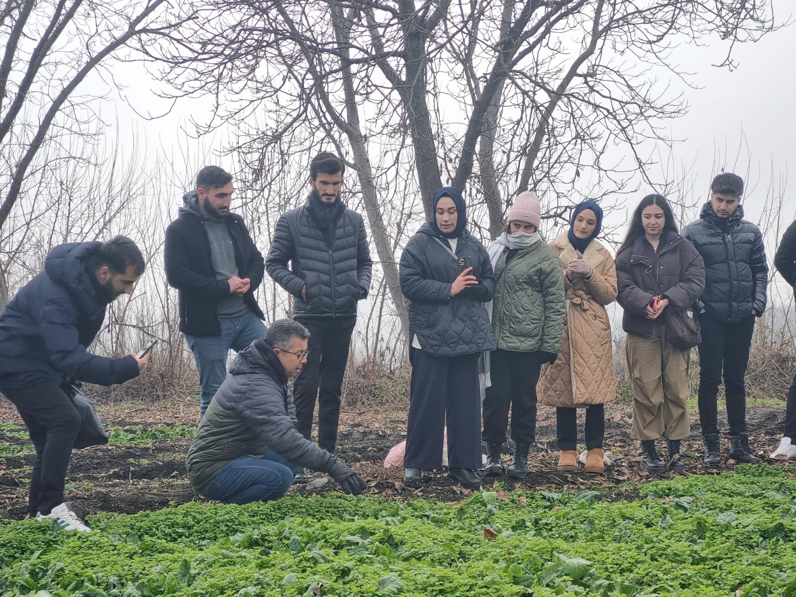 Hevsel Bahçelerinde Doğa yürüyüşü: Yabancı otlar gıda olarak keşfedildi