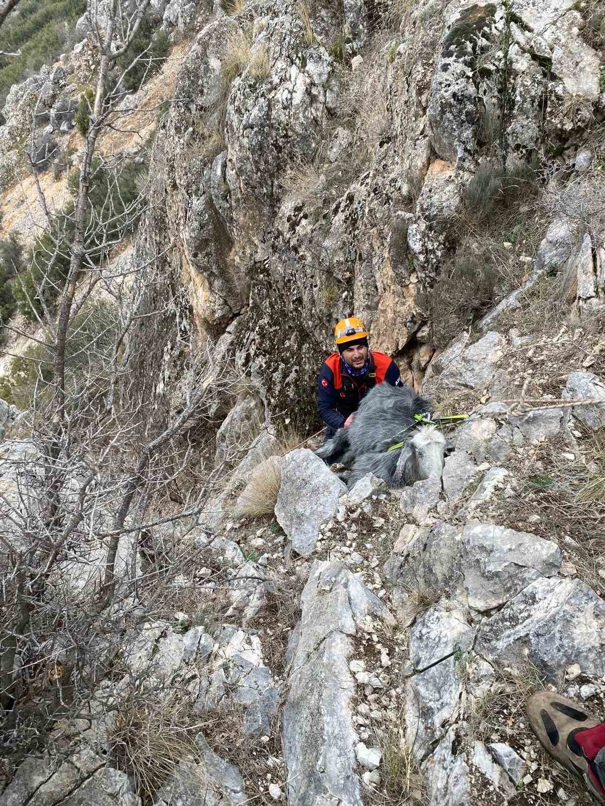 Burdur’da dağlık alanda mahsur kalan keçi kurtarıldı