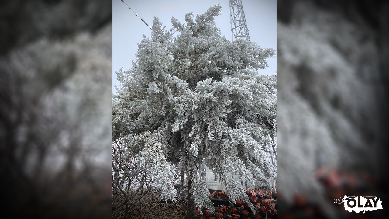 Diyarbakır’da Don Uyarısı! Çiftçiler Dikkat (3)