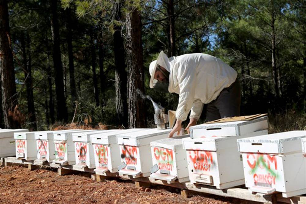  Bakan Kirişci: ORKÖY desteğini artırdık