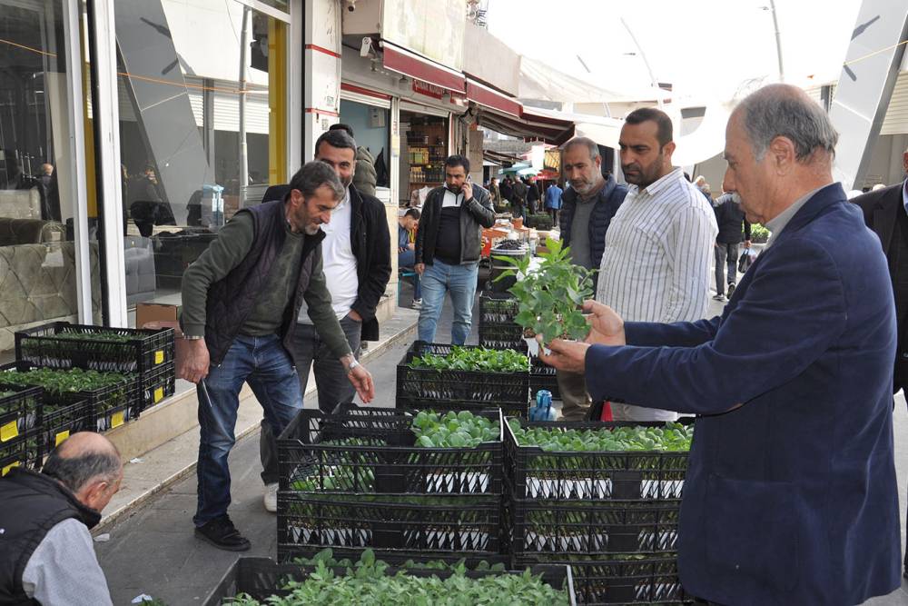 Havaların ısınmasıyla fide satışları başladı