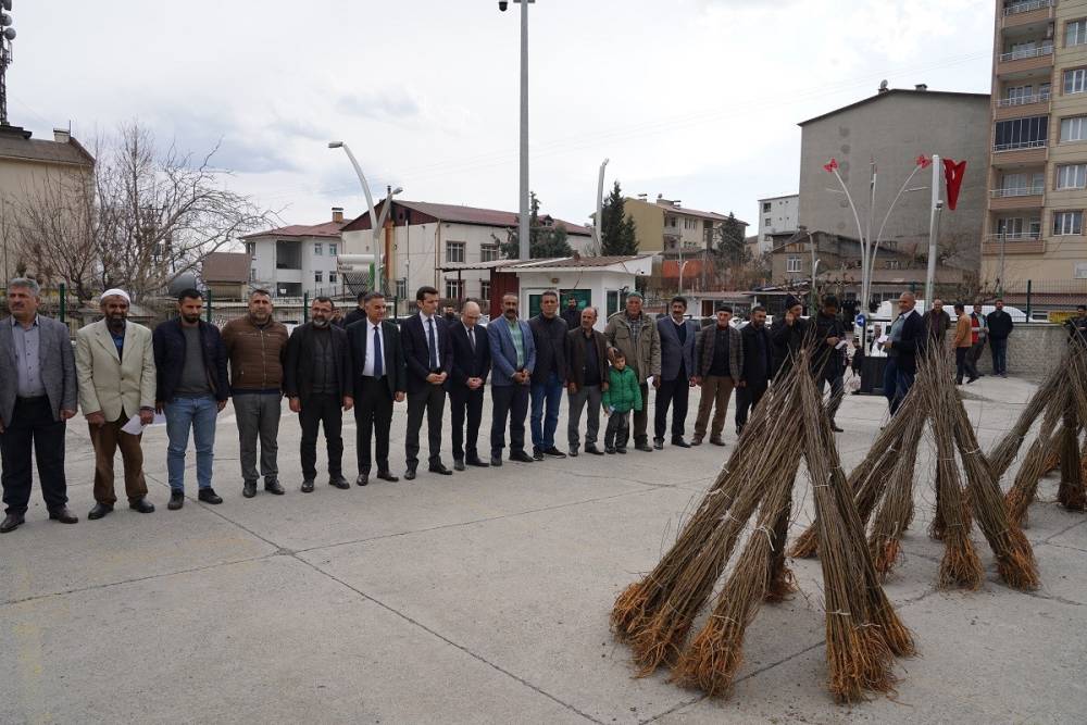 Kulp’ta, ipekböceği üreticilerine 10 bin adet dut fidanı dağıtıldı