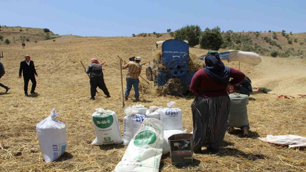 Devlet desteğiyle atıl durumdaki arazi tarıma kazandırıldı