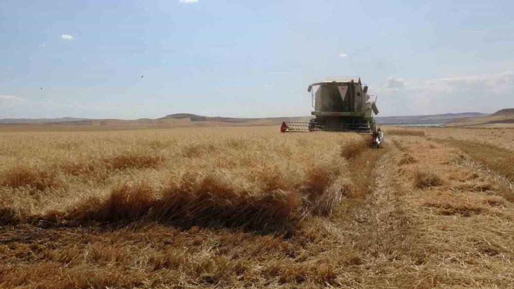 Güneydoğu Anadolu Bölgesi’nde kene ve akrep vakalarında artış