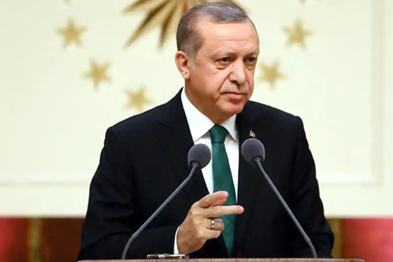 Cumhurbaşkanı Erdoğan: Müslüman ve yabancı düşmanlığını reddediyoruz