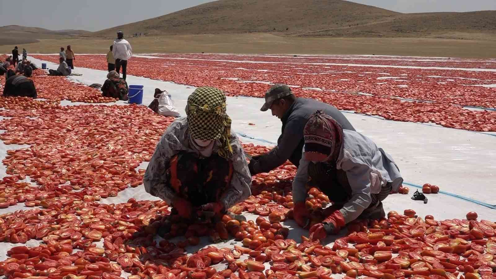 Mevsimlik işçi öğrencilerin büyük başarısı