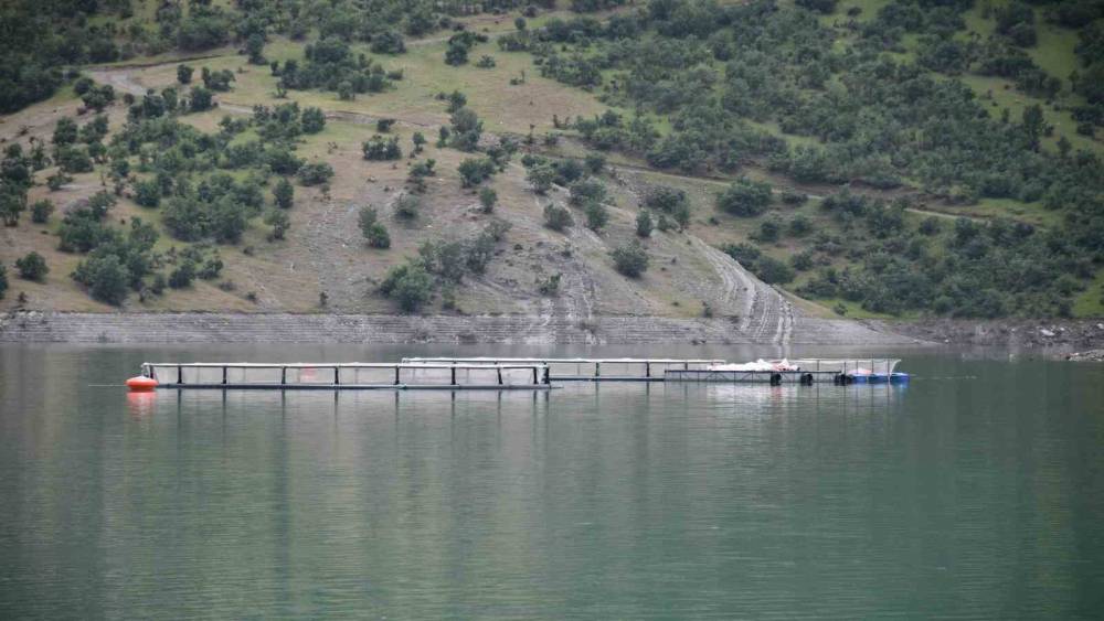 Devletin projeleriyle Şırnak’ta balık hasadı yapılıyor
