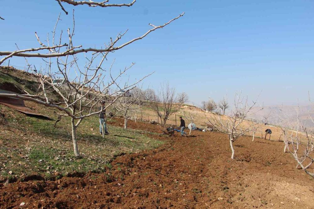 Siirt’te kuraklık endişesi çiftçileri korkutuyor
