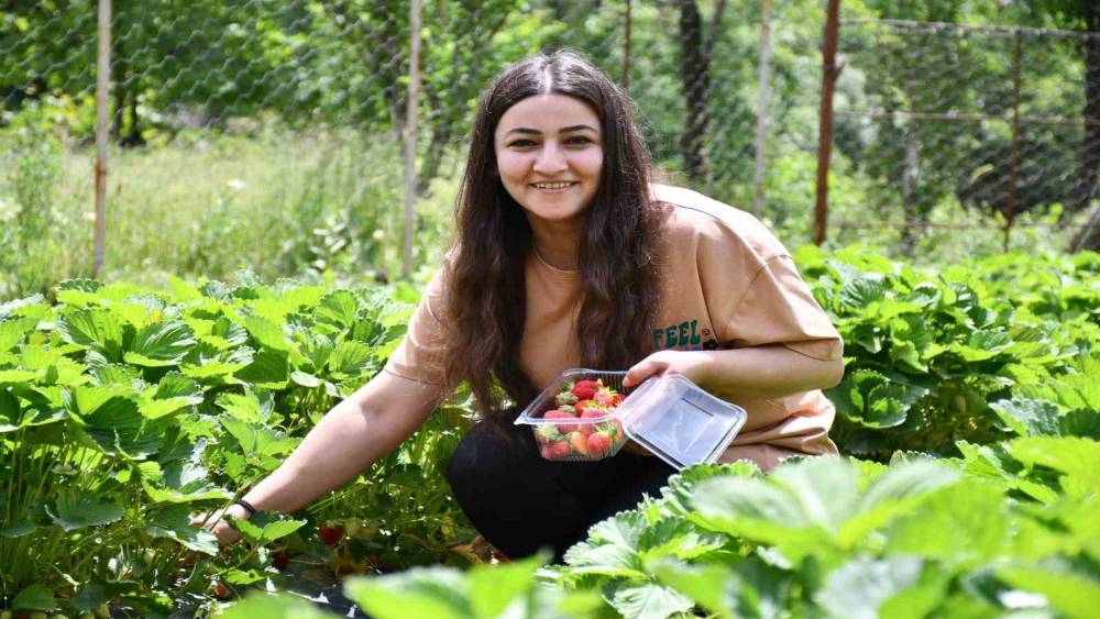 Uludereli tek kadın girişimciye devletten yüzde yüz hibe