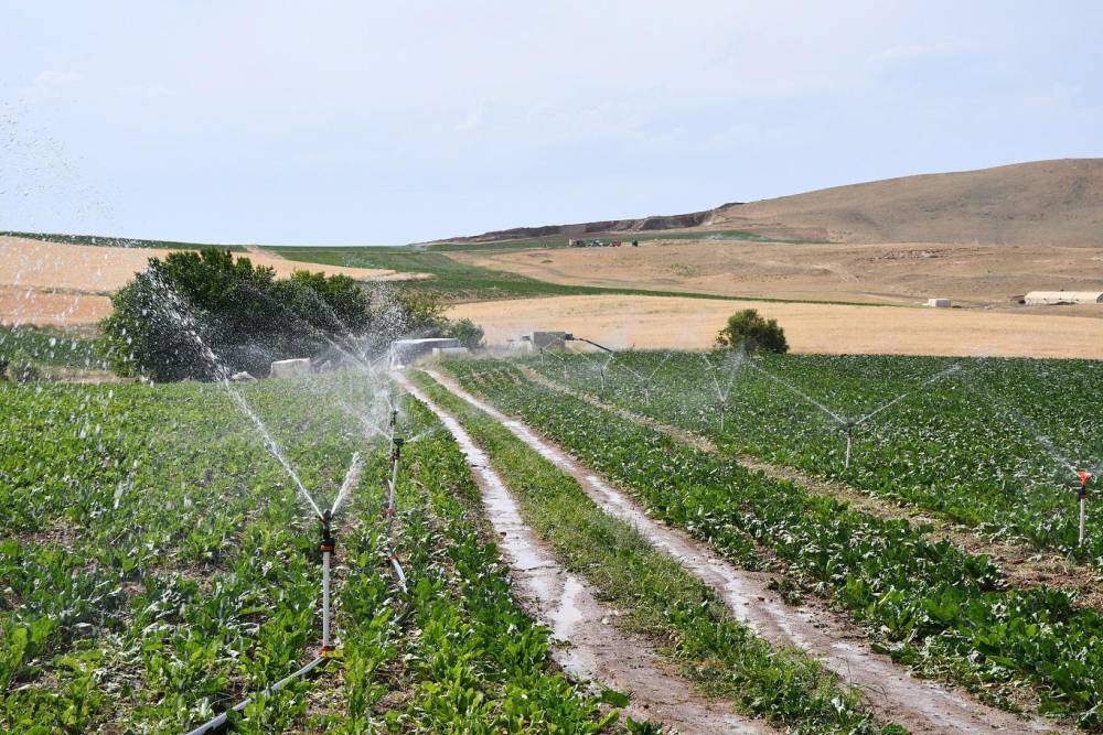 Şanlıurfa'da arazilerin kiralanmasında çiftçiler uyarıldı