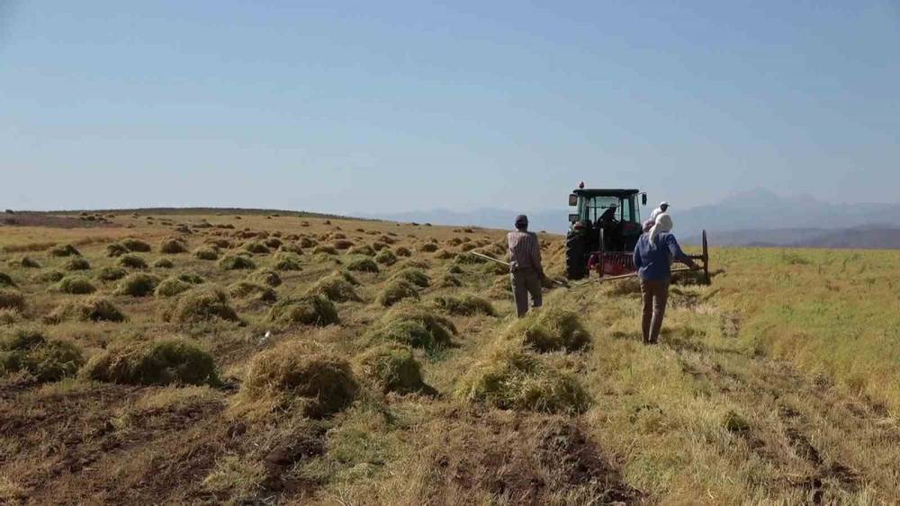 Siirt’te bayramda da hasat sürüyor