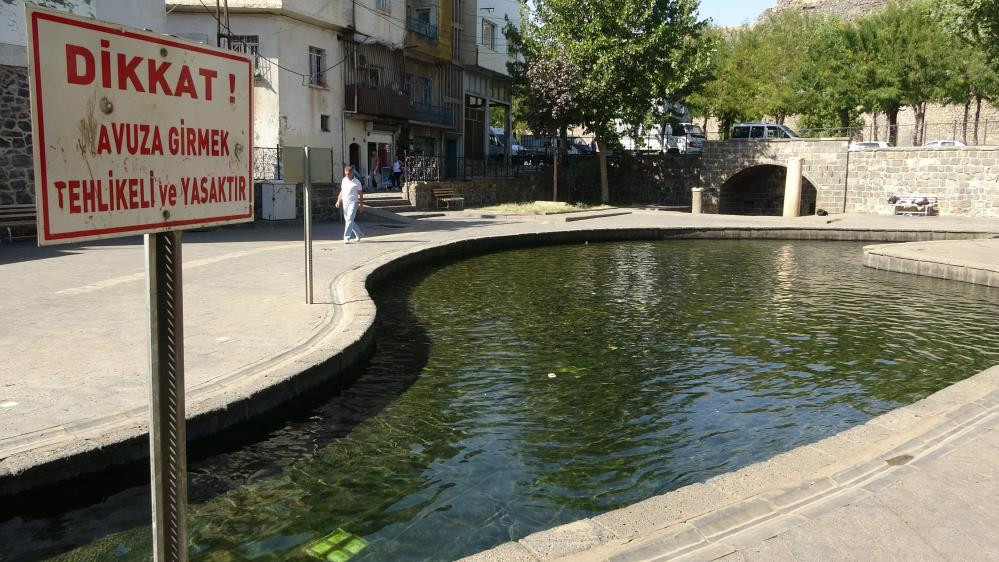 Evliya Çelebi’nin Seyahatname'de bahsettiği su kaynağında balıklar gün yüzüne çıktı