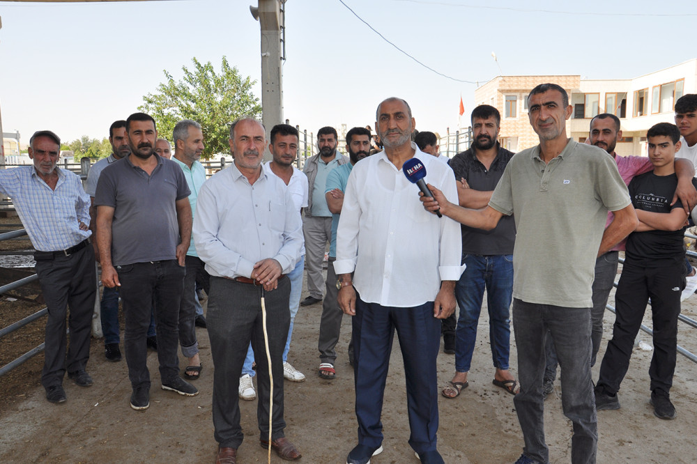 Hayvan yetiştiricileri ile kasaplar yeni mezbahane açılmasını istedi (videolu)