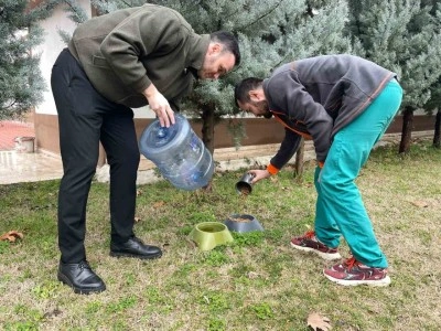 Can dostları için mama ve su kapları yerleştirildi