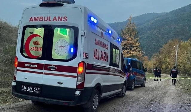 Diyarbakır Lice'de Trafik Kazası: 6 Yaralı