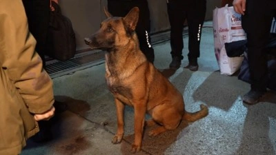 Hassas burunlu köpekler arama-kurtarma çalışmaları için Konya’ya hareket etti