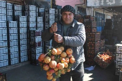 Kendine has lezzetiyle bilinen "Zivzik" narı kilosu 30 liradan satılıyor