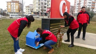 Kızılay gönüllülerinden kedilere sıcak yuva