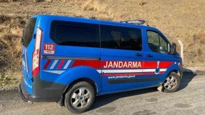 Köpek dövüşüne jandarma baskını