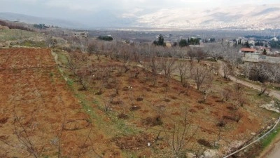 Suriye'de rejimin engellediği tarım yeniden başladı